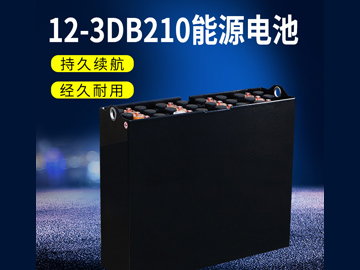 12-3DB210