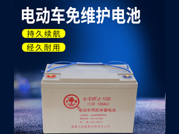 電動車免維護電池